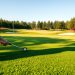 Greenkeeping – Pflege von Golfplätzen