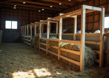 Die 8 besten Tipps: Heuraufe selber bauen